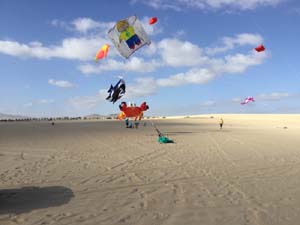 Fuerteventura 19(20)