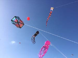 Fuerteventura 19(30)