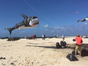 Fuerteventura 19(32)