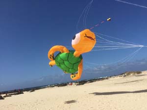 Fuerteventura 19(34)