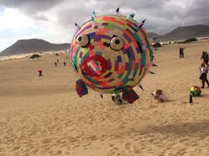 Fuerteventura 19(36)