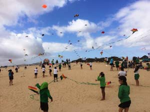 Fuerteventura 19(37)