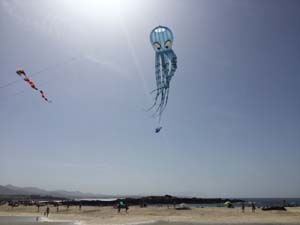 Fuerteventura 19(4)