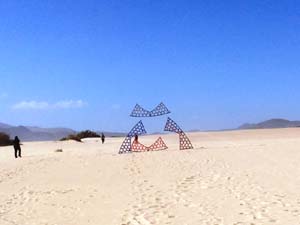 Fuerteventura 19(42)
