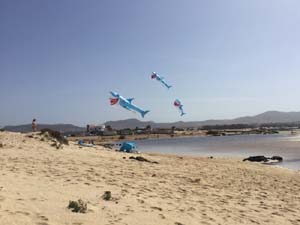 Fuerteventura 19(5)