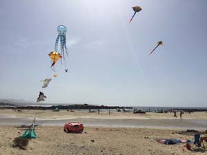 Fuerteventura 19(7)