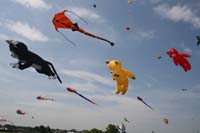 IMG_0049
