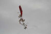 Wienherbst 12_021