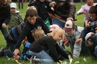Wienherbst 12_028