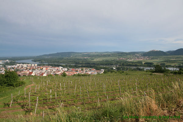Krems 10 0151