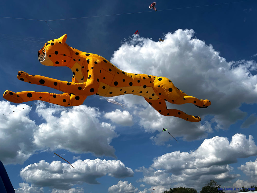 315