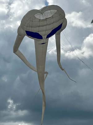 3235