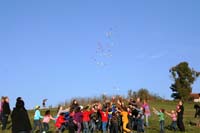 2.
                  Leobendorfer Drachenfest 086