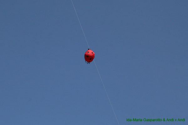 Lienz 090708