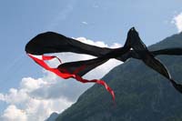 Lienz 090614