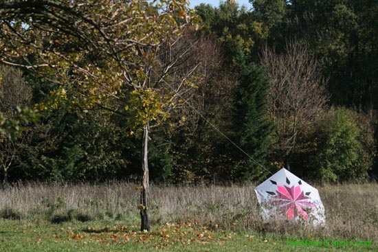 Mauerbach07 0011