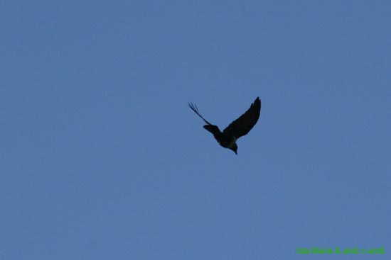Mauerbach07 0018
