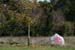 Mauerbach07 0011