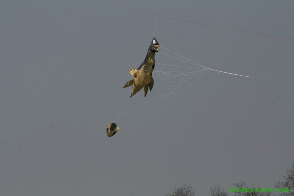 Osterfliegen 09_0053