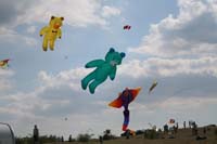 IMG_0427