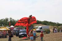 IMG_0470