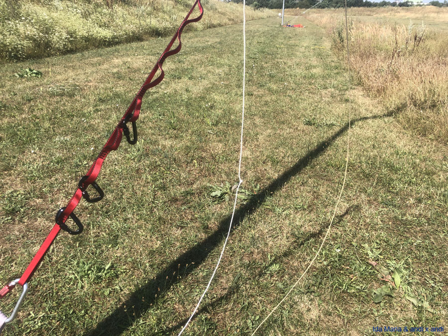 1 (36)