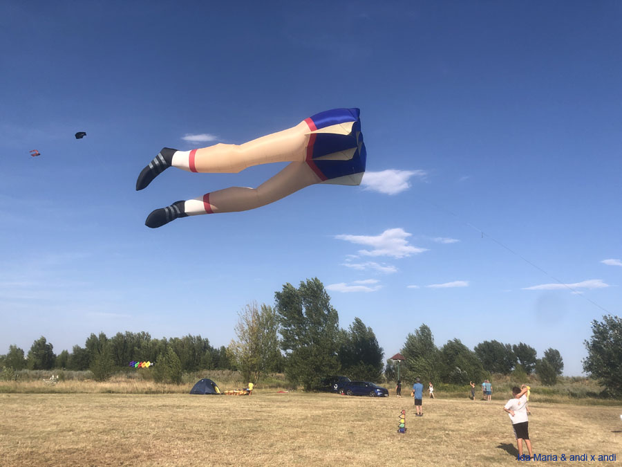 1 (40)