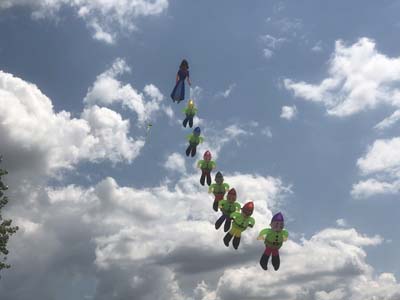 1 (20)