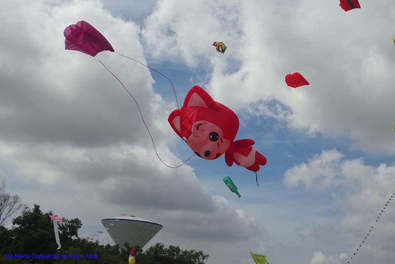 Pasir Gudang 17_090