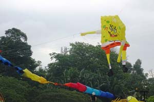 Pasir Gudang 17_039