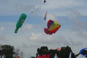 Pasir Gudang 17_077