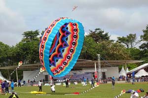 Pasir Gudang 17_082