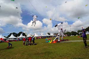 Pasir Gudang 17_087