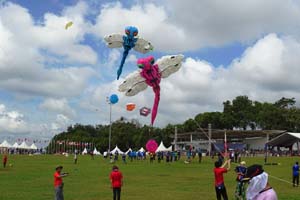 Pasir Gudang 17_089
