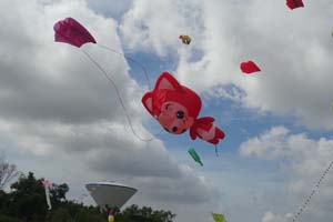 Pasir Gudang 17_090