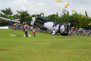 Pasir Gudang 17_097