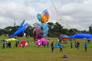 Pasir Gudang 17_101