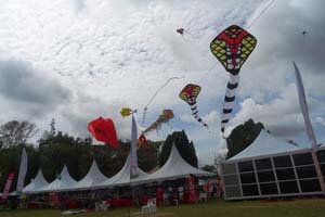 Pasir Gudang 17_102
