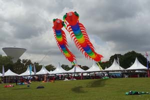 Pasir Gudang 17_106