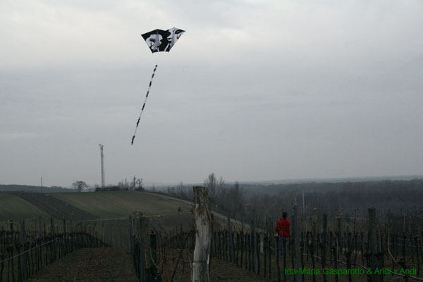Rochusberg 10 0134