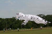 Asien 10 0245