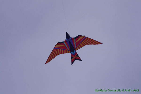 Scherasade 09 0030