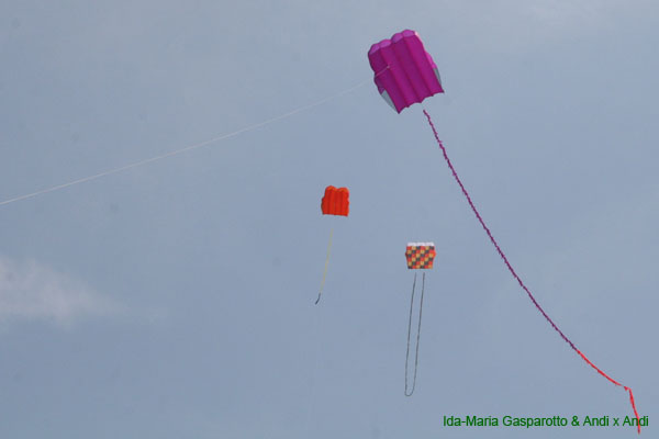 Scherasade 09 0260