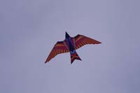 Scherasade 09 0030