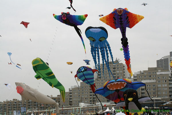 Scheveningen090224