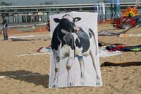 Scheveningen090016