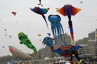 Scheveningen090224