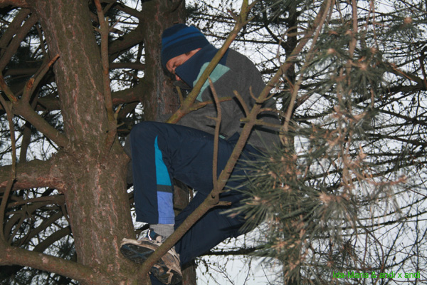 Sylvesterdrachen 080075