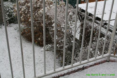 Schnee0003