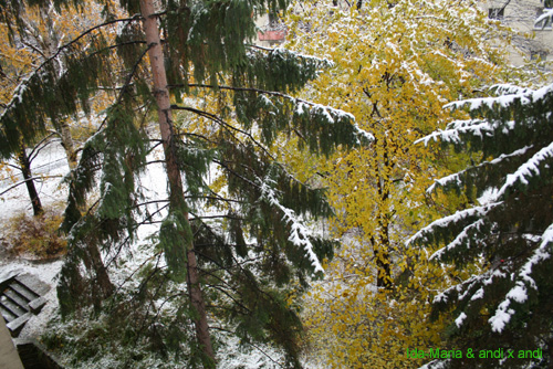 Schnee0016